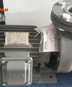Bơm nước Teco