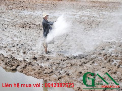 Vôi dùng cho bón ruộng