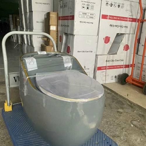 Bồn cầu
