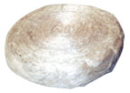Bông đay