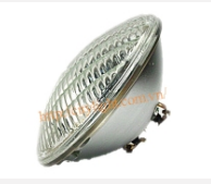 Bóng đèn hồ bơi
