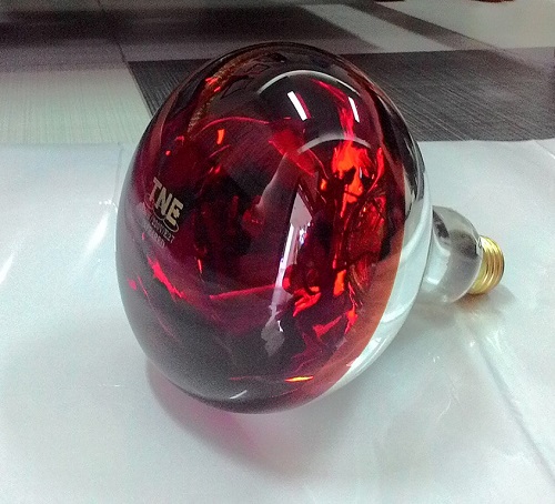 产品与服务