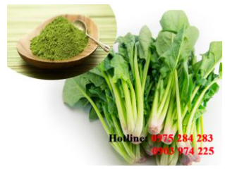 Bộtbó xôi