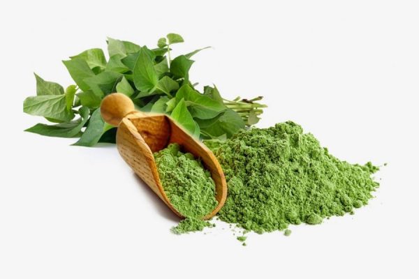 Bột diếc cá