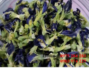 Bột hoa đậu biếc