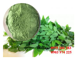 Bột rau ngót