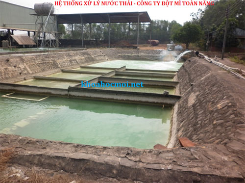Hệ thống xử lý nước thải bột mì