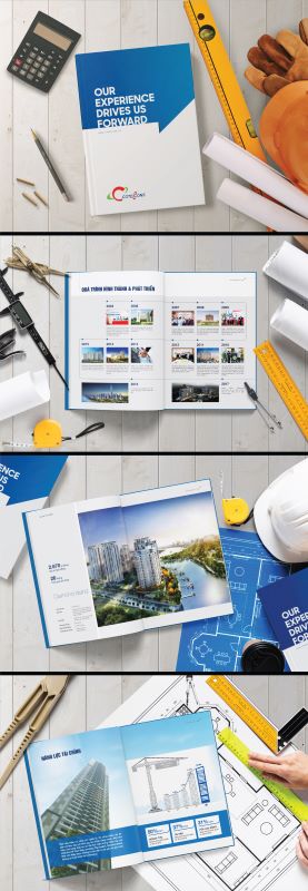 Thiết kế Brochure