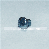 Bulong mạ kẽm