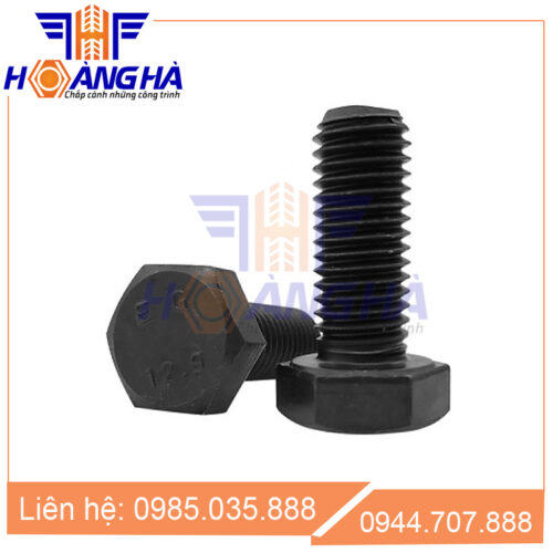 Bulong cường độ cao 10.9