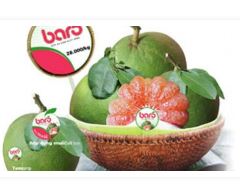 Bưởi da xanh