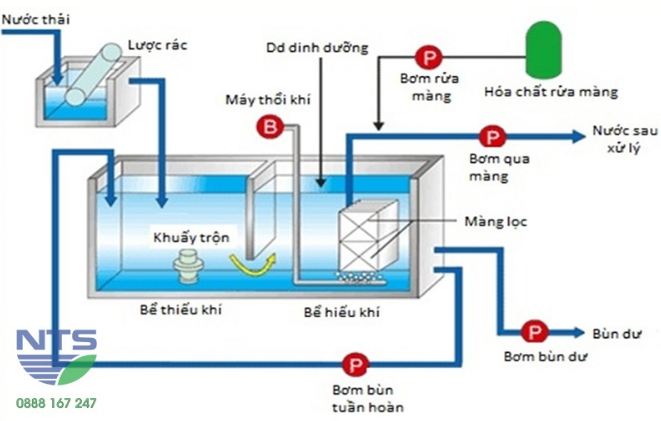Dịch vụ bảo vệ