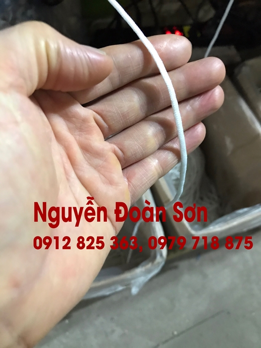 Dây chun làm khẩu trang