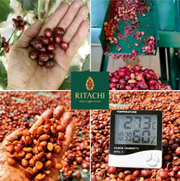 产品与服务