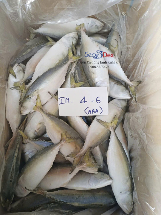 Cá bạc má