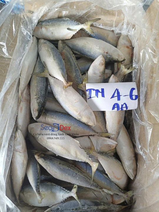 Cá bạc má
