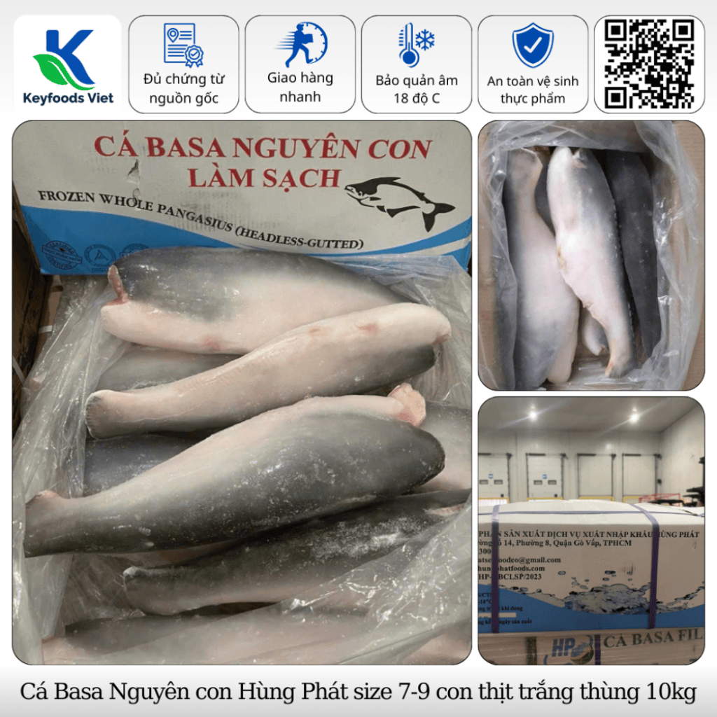 Cá Basa Nguyên con Hùng Phát