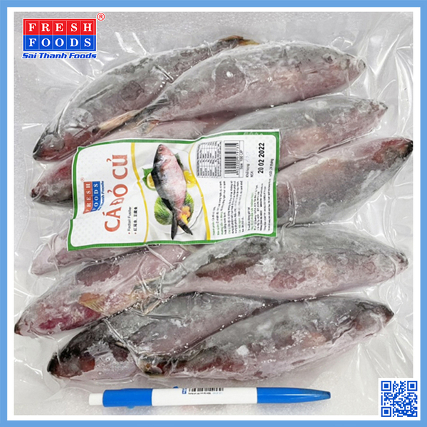 Cá đỏ cú nguyên con