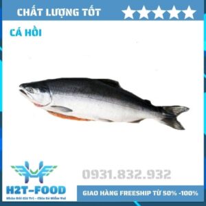 Cá hồi
