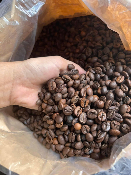 Cà phê hạt Robusta