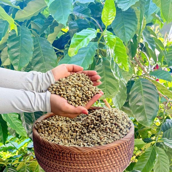 Cà phê Hoàng Hiệp