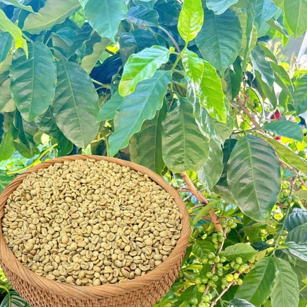 Cà phê Hoàng Hiệp