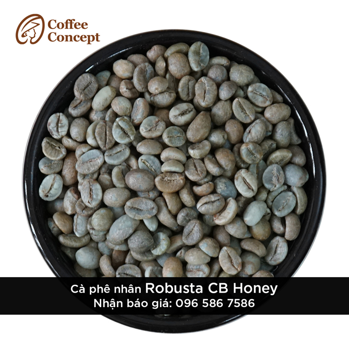 Cà phê nhân Robusta CB Honey