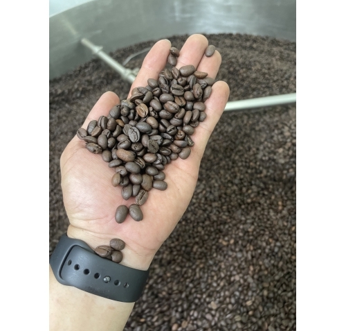 Cà phê rang mộc hạt Robusta Nature