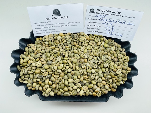 Cà phê Robusta Grade 1 R16 với tỷ lệ lỗi 0.1% black & 0.3% broken