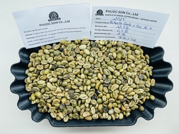 Robusta Grade 1 R18 với tỷ lệ lỗi 2% black & broken