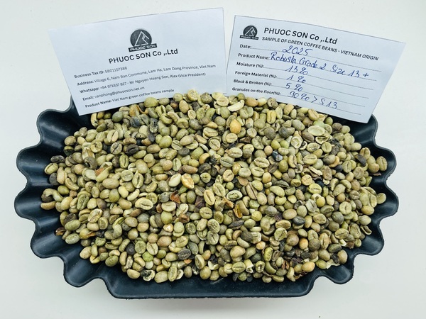 Robusta Grade 2 R13+ với tỷ lệ lỗi 5% black & broken