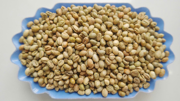 Cà phê Robusta Washed