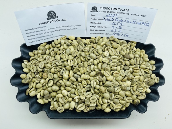 Cà phê Robusta Wet Polished