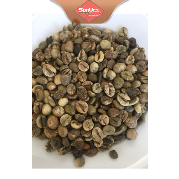 Cà phê Robusta