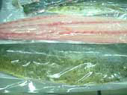 Cá thu hủ Fillet