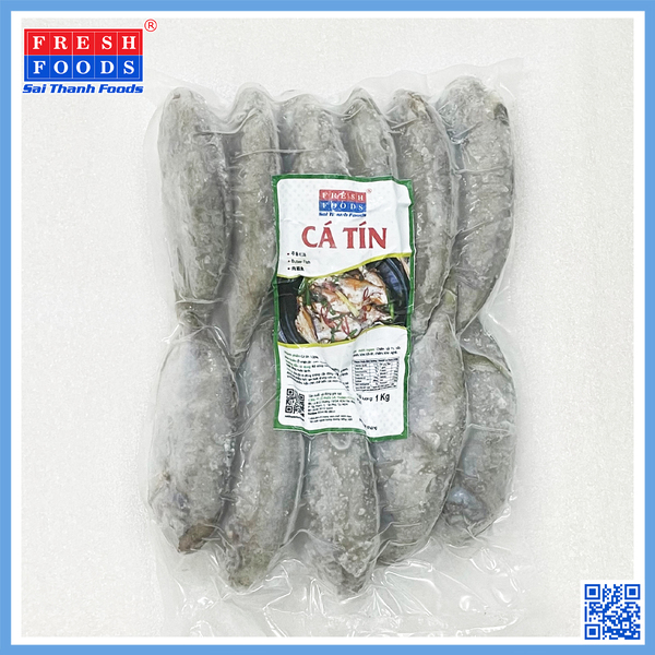 Cá tín - Cá liệt nguyên con