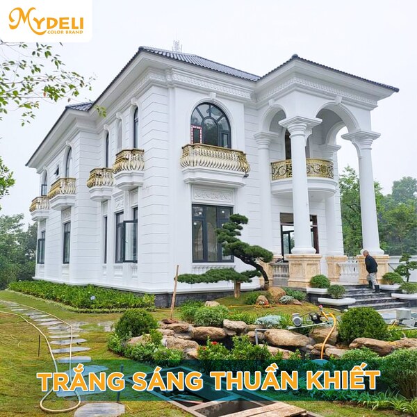 Dự án