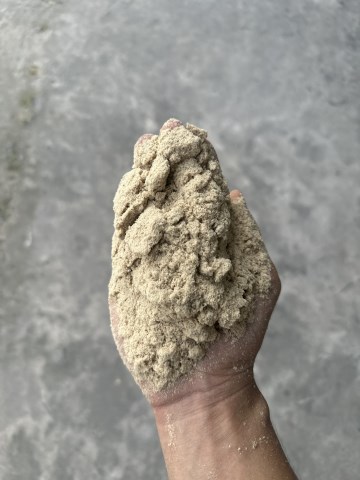 Cám gạo
