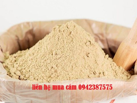 Cám gạo dùng làm thức ăn chăn nuôi