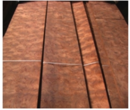Veneer nu cẩm lai