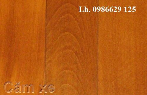 Sàn gỗ căm xe lào