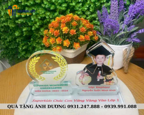 Cắm bút pha lê D020