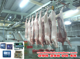 Cân giết mổ