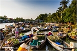 Dự án tại Cần Thơ