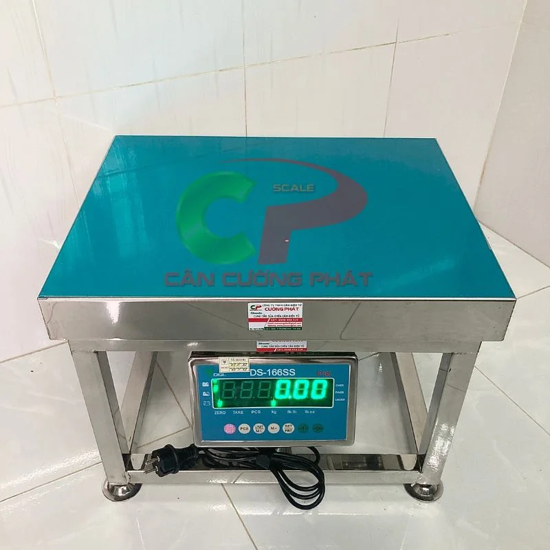 Cân điện tử ghế ngồi 300kg DS166SS chống nước
