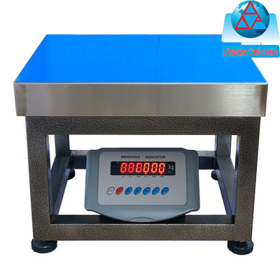 Cân ghế XK315A 500kg