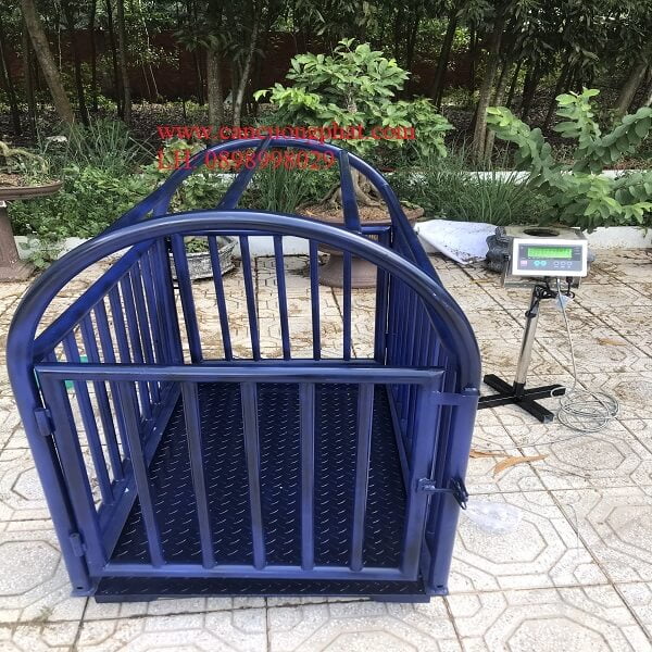Cân heo điện tử