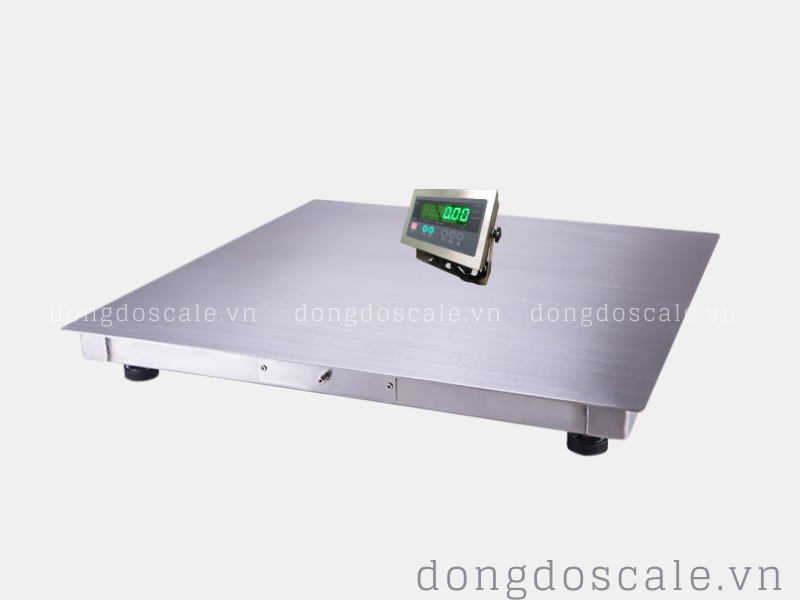 Cân sàn điện tử Inox
