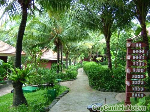 Thiết kế cảnh quan resort