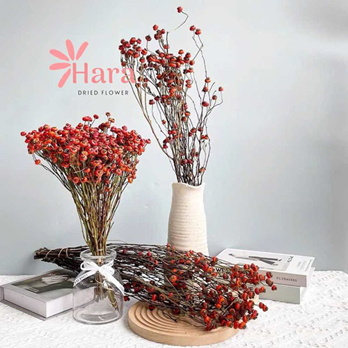 Cành quả hồng khô decor
